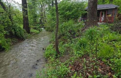 The Happy Place - Foto 41