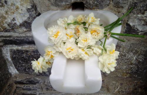 Olympos Archipelagos - Foto 13