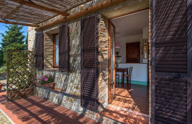 Verdidea - Podere del Mezzadro - Foto 60