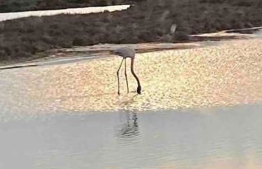 Gîte « domaine de l’oustal nau » - Foto 29