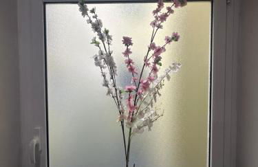 Appartamento con Terrazza - Foto 31