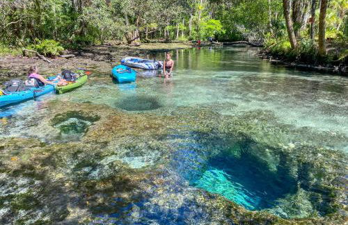 Charming 1940s Daybook Cottage on the Florida Hidden Coast - Foto 24