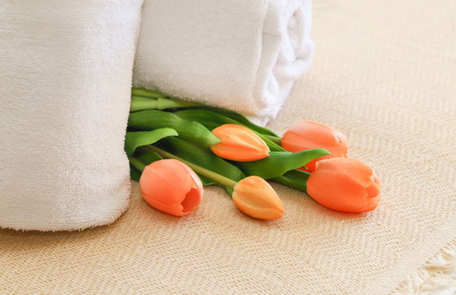 Vert Pré 3 - Foto 12