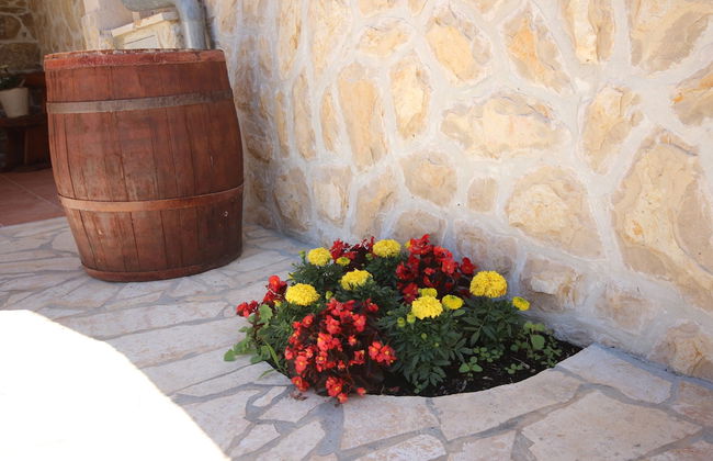 Apartment in Villa Rustica - Photo 12