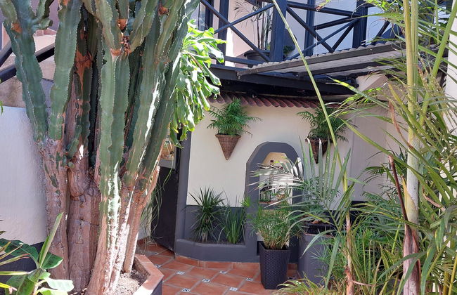 Apartamentos Monasterio de San Antonio - adults only - Photo 28