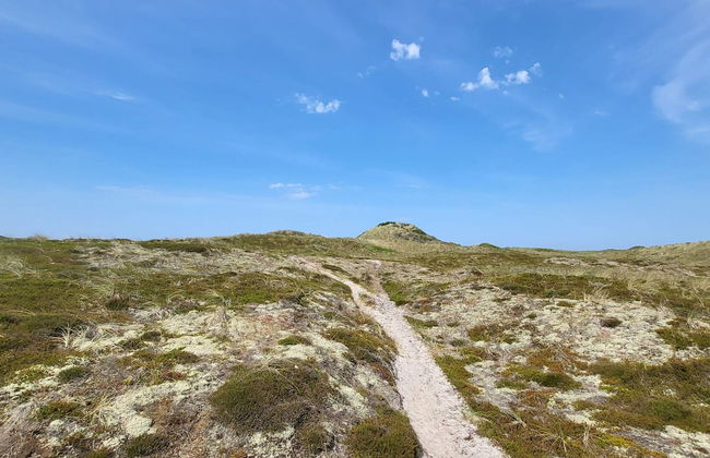 4 Person Holiday Home in Thisted - Foto 19