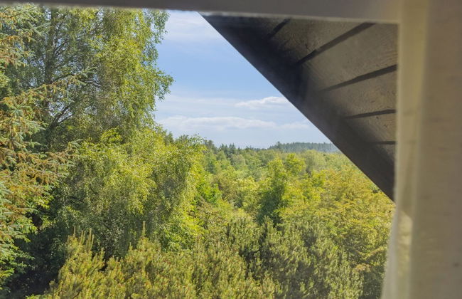 "Nadia" - 300m to the fjord - Photo 19