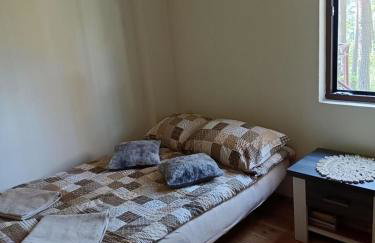 Domek w Ocyplu-Ocypelski Śpik ,Bory Tucholskie - Foto 11