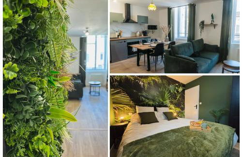 Jungle Room - Centre ville - Foto 1