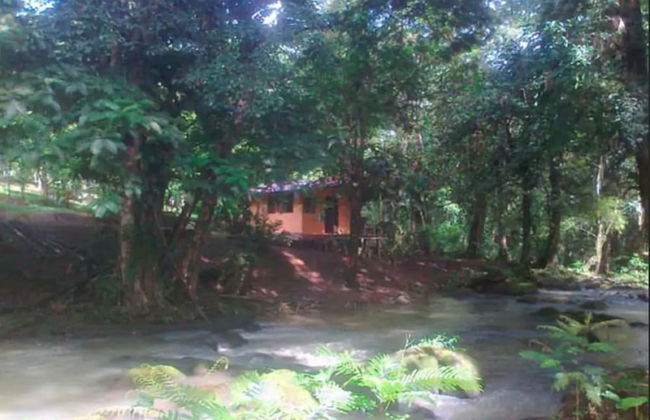 Vanilla Jungle Lodge - Bed & Breakfast - Foto 20