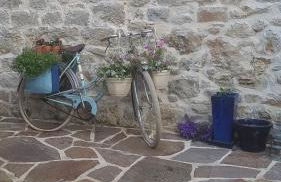 Dordogne Farmhouse - Foto 29