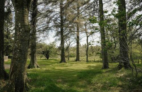 Shepherds Hut - Foto 27