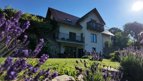 Strefa Ciszy -Lawenda - Foto 2