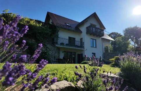 Strefa Ciszy -Lawenda - Foto 2