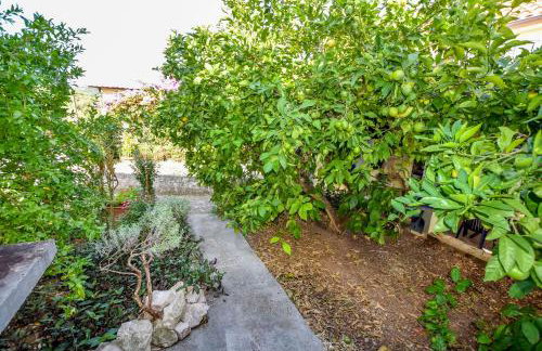 House Panula - Foto 17