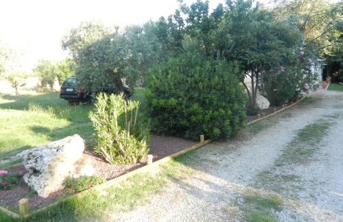 Il Gheriglio - Foto 11