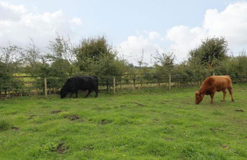 The Parlour - Foto 35