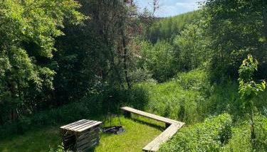 Waldurlaub Klingelborn im Sauerland - Foto 2