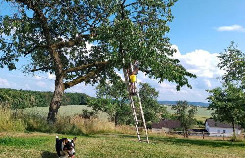 Gutshaus De La Fontaine - Photo 37