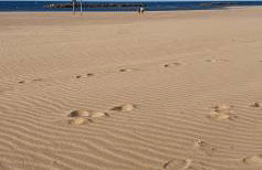"Les Galets Blancs" Neuf classé 3 étoiles - Foto 41