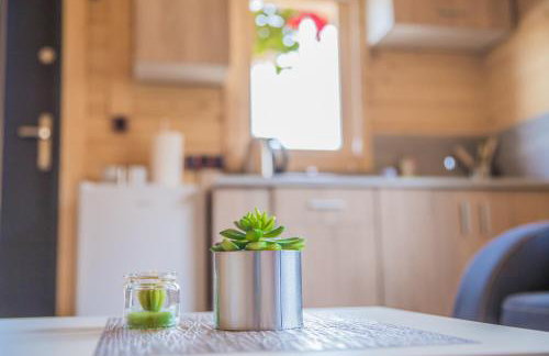 FamilyCamp - Foto 21