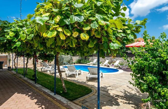 Andrea Comfortable Holiday Residence - Foto 21