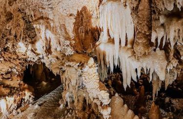 Charmant T2 tout confort - Foto 20