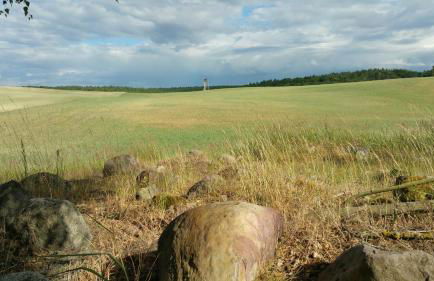 Haus an der Pferdekoppel am Blankenburger See - Photo 31
