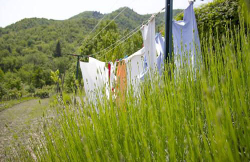 Villa Porcigliano Olive Grove - Foto 55