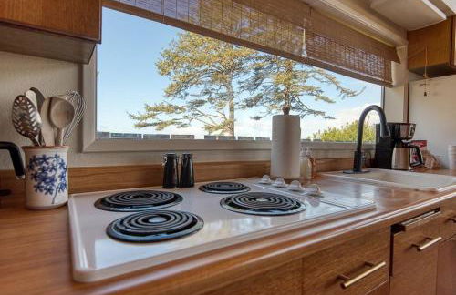 #StayinMyDistrict Cape Arago Sanctuary at the Sea - Foto 16