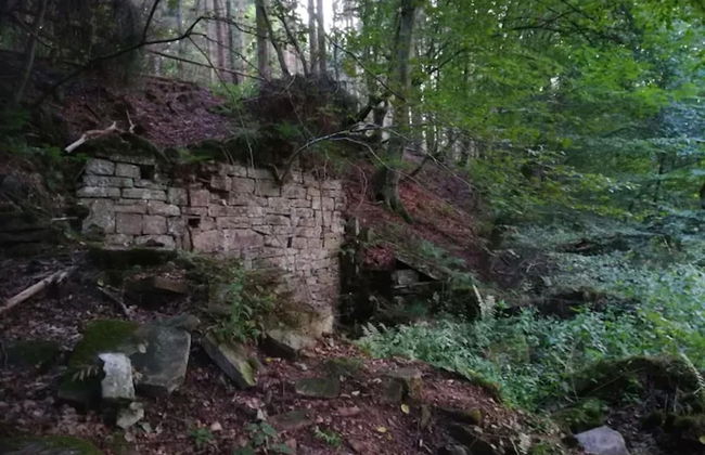 Ferienwohnung mit Garten auf dem Bauernhof - Foto 19