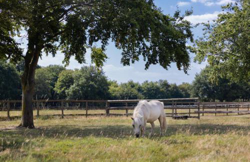 Merry Lakes - Luxury Lakeside Escape with Pool - Just 30 Minutes from London - Foto 76