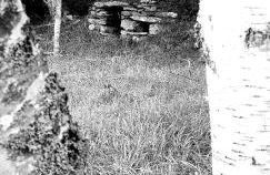 Chez Nave au pied du Meygal - Foto 40