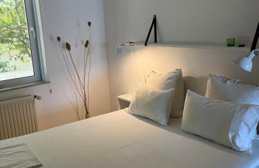 Cloudberry - Photo 5