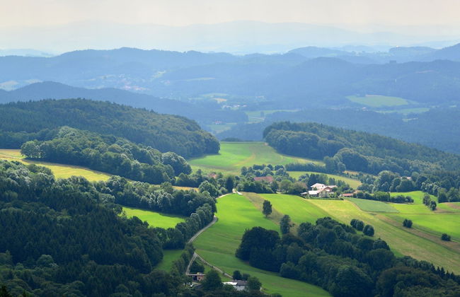 Ehemaliges Bauernhaus mit Liegewiese - Foto 39