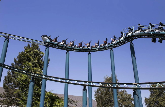 Lively Bungalow on the Water - Photo 36