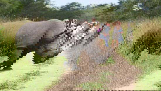 Visitando el santuario de rinocerontes