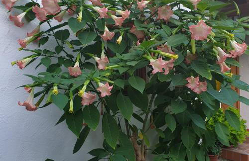 Schöne Souterrainwohnung in Seeshaupt - Foto 3