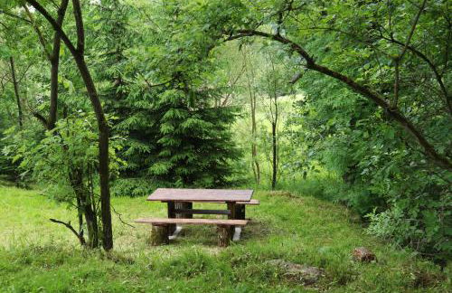 Agroturystyka Stajnia Rumak - Foto 13