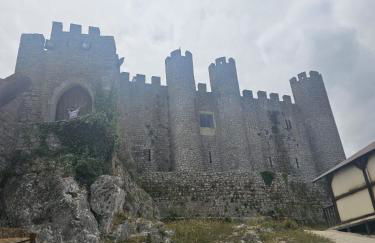 Sunflower Castle View in Óbidos - Foto 33