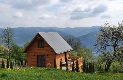 Domek Góralski Piwowarówka - Foto 60