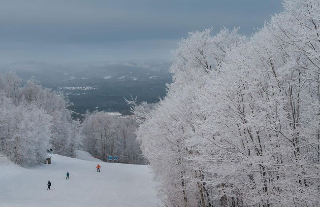 SPA Private Pond and Beach Volleyball Citq 248080 - Foto 10