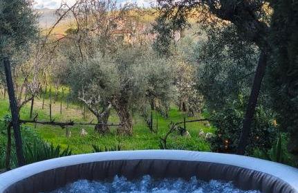 BABhouse Villa Jardim das Oliveiras - Photo 8