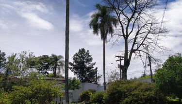 Chácara Cinco Ases - Foto 3