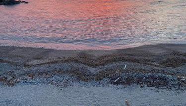 Tide's Edge Oceanfront Condo - Photo 1