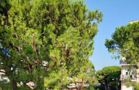 Cala Mare Home - Foto 16