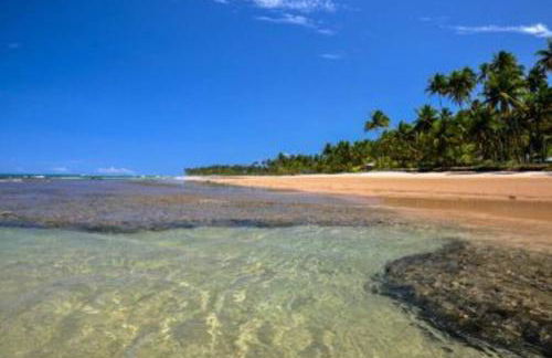 Sítio Meu Refúgio - Photo 34