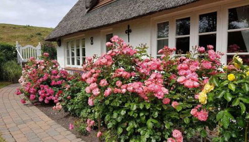 Haushaelfte A Heini ID 431 - Photo 4