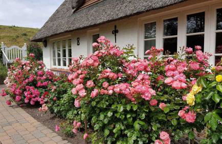 Haushaelfte A Heini ID 431 - Foto 4