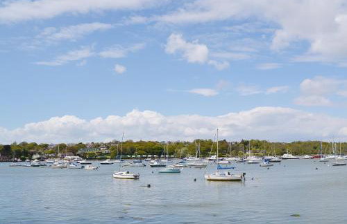 Moles Leap - Foto 10